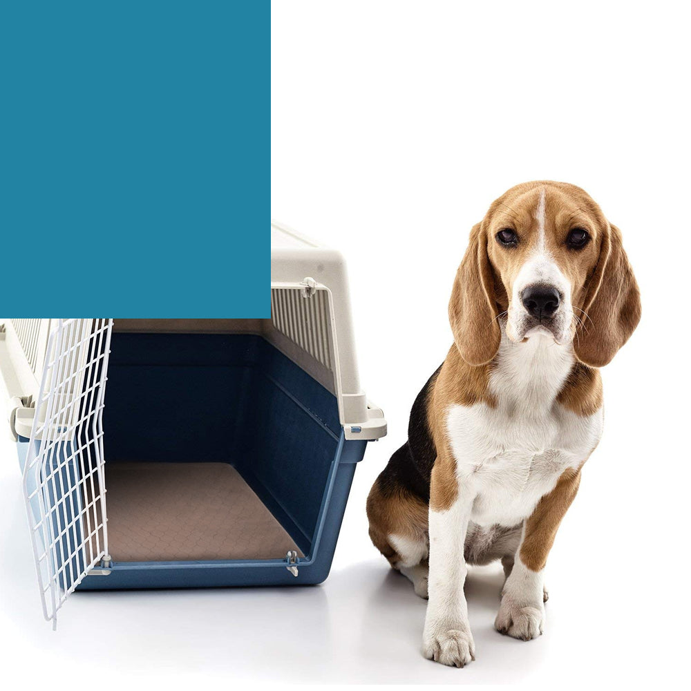 NNEDPE 2 Stück Wasserdichte Waschbare Trainings-Urinalunterlagen